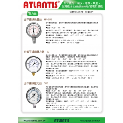 水火風光、潮汐、地熱、共生、 生質能/發電及儲能